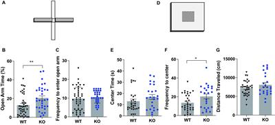 PEN Receptor GPR83 in Anxiety-Like Behaviors: Differential Regulation in Global vs Amygdalar Knockdown